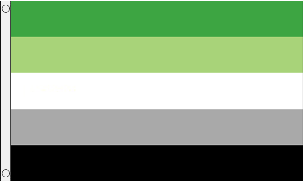 Aromantic 3x5 Flag