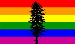 Cascadia Rainbow 3x5 Flag