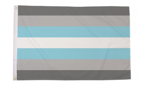 Demi Boy 3x5 Flag