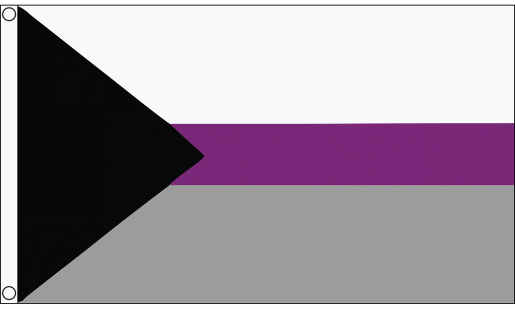 Demisexual Flag 3x5