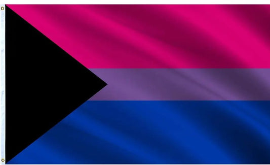 Demi-Bi 3x5 Flag