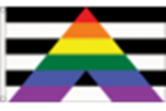 Gay Straight Alliance 3x5 Flag