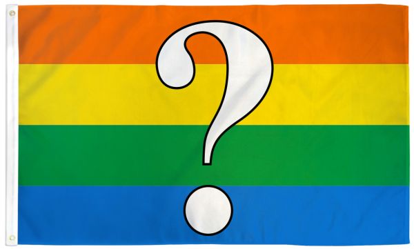 Questioning 3x5 Flag