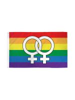 Double Venus Large Graphic 3x5 Flag