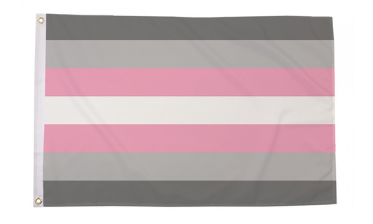 Demi Girl 3x5 Flag